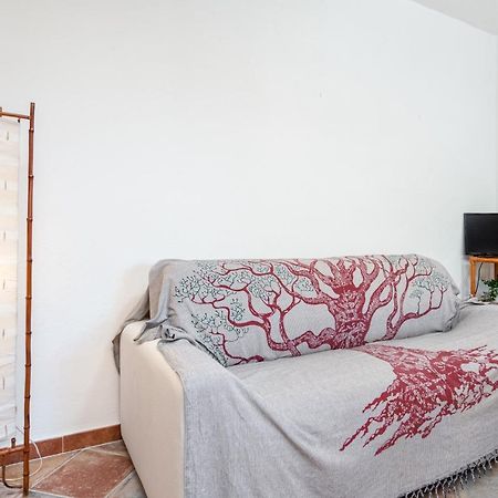 Holiday House Li Piri San Teodoro  Εξωτερικό φωτογραφία